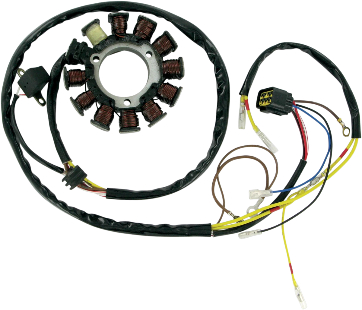 Stator for Rick's Motorsport Electric (21-556)