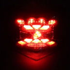 LED Tail Turn Signal Light for Kawasaki Z900/Z650 (2017-2023)