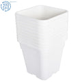 Set of 10 Square White Nursery Pots for Plant Growing
