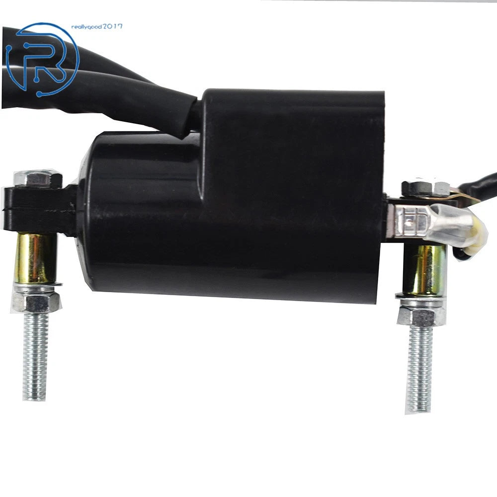 Dual Wire Ignition Coil for Honda Yamaha Suzuki Kawasaki