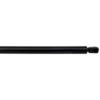 Liftgate Lift Supports for Toyota Sienna (Passenger Right Side)
