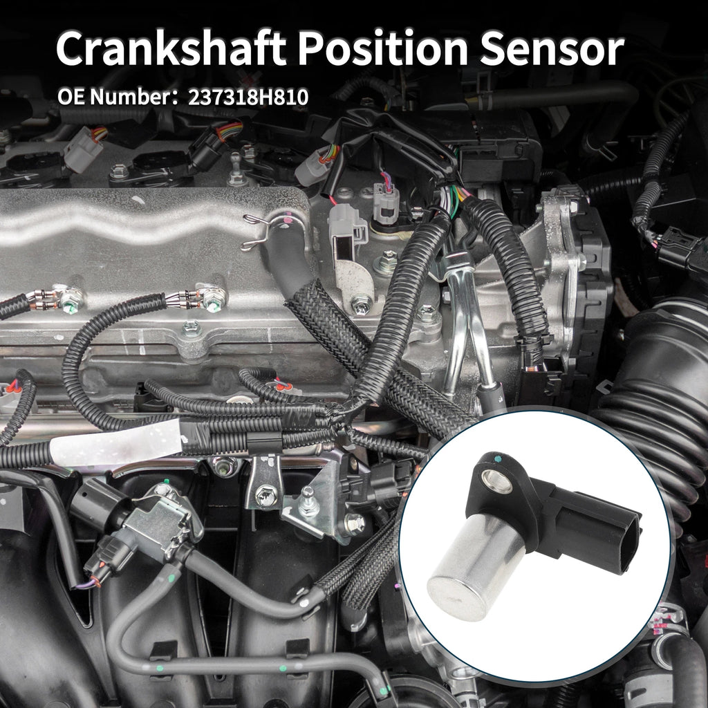 Crankshaft Position Sensor for Nissan X-Trail 2.2DCi (2001–2004) No. 237318H810