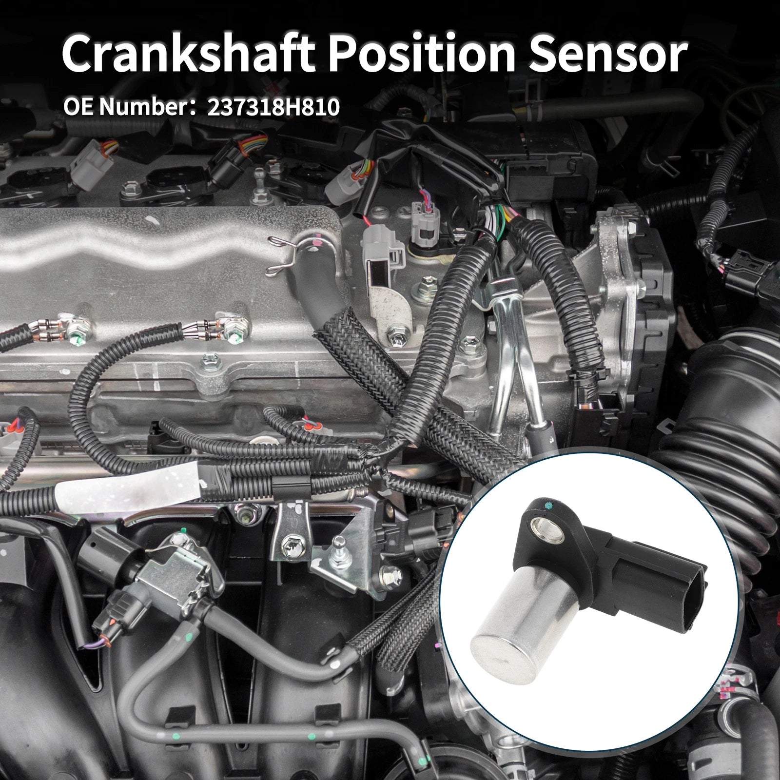 Crankshaft Position Sensor for Nissan X-Trail 2.2DCi (2001–2004) No. 237318H810