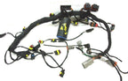 Evinrude Engine Wiring Harness 0587286 for 40-60hp 2-Stroke