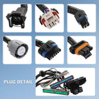 Standalone Wiring Harness for LS1 Drive-By-Wire 4L60E (1997-2004)