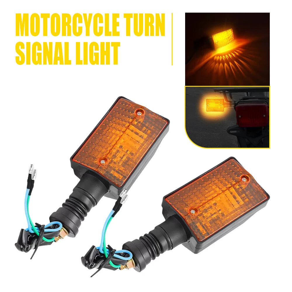 2X License Plate Light for Ford Mustang GT500KR (2005–2009)