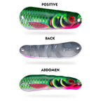 6.5cm Metal Spoon Lure 20g with #2 Treble Hook