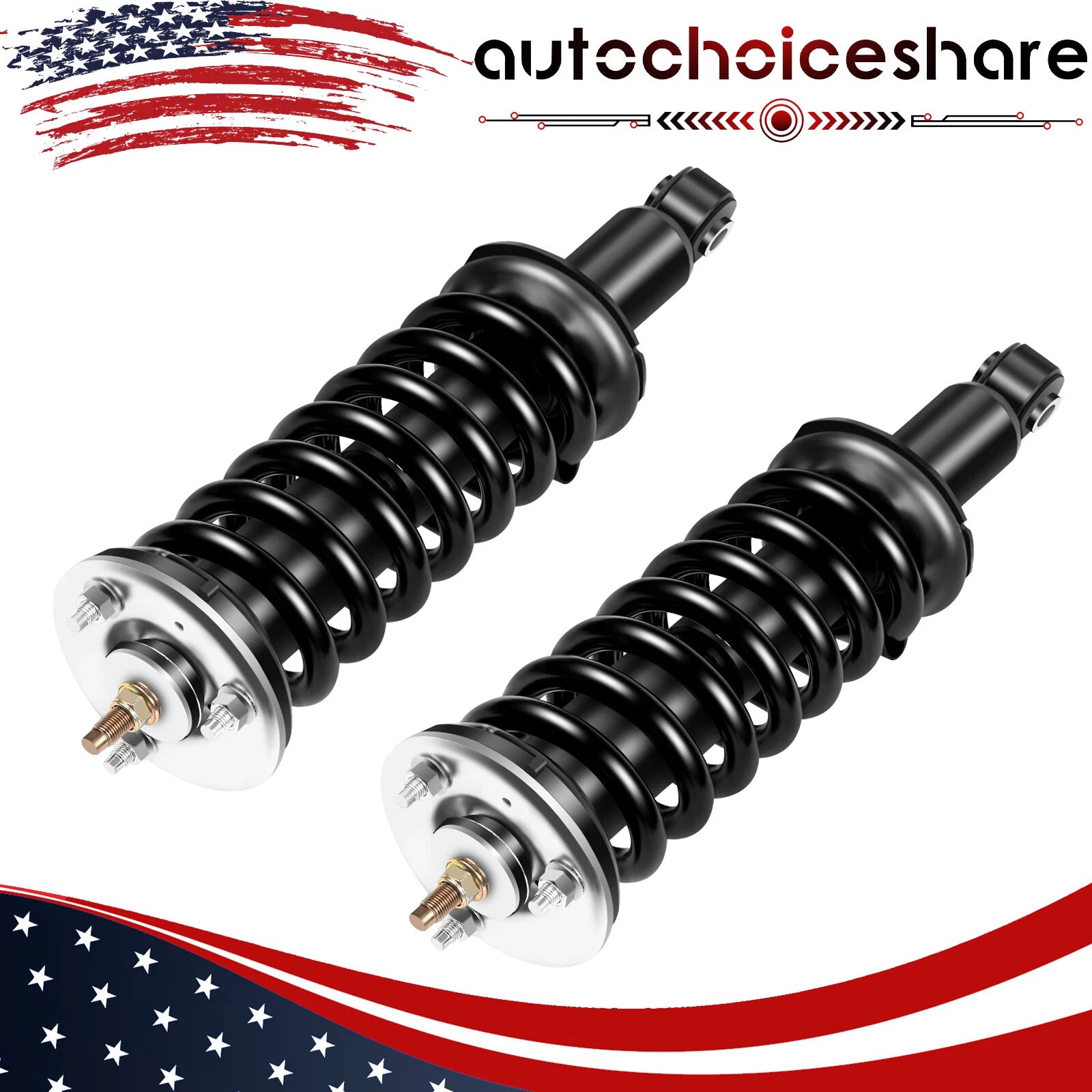 Complete Strut Assembly Pair for Nissan Pathfinder (2005–2012)