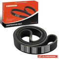 Serpentine Belt for Ford CL9000 L9000 