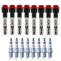 Set of 8 Ignition Coils & NGK Iridium IX Spark Plugs for Audi A8 Quattro S4 (1998–2009)