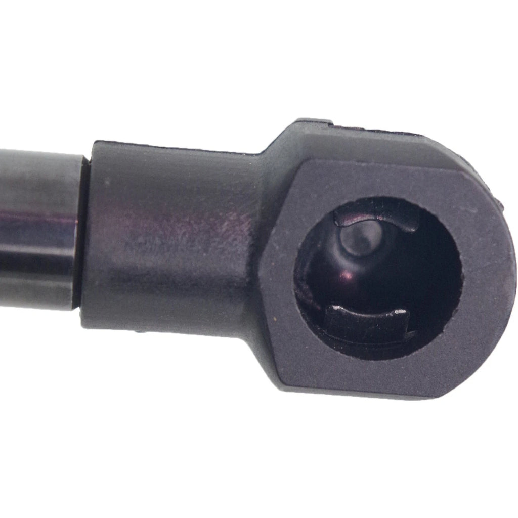 Lift Support for Nissan Versa Hatchback (2007–2012)