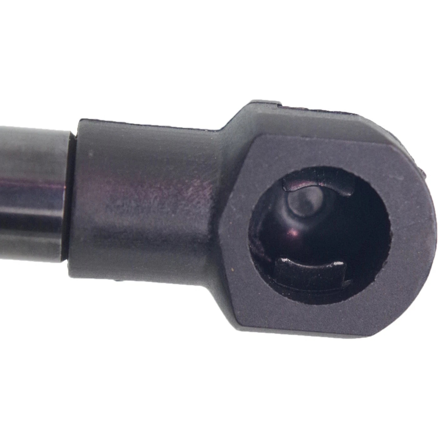 Lift Support for Nissan Versa Hatchback (2007–2012)