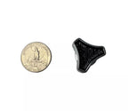 Threaded Rod Replacement for Tri Bar Air Cleaner Wing Nut Hold Down (1/4-20) (2001–2010)