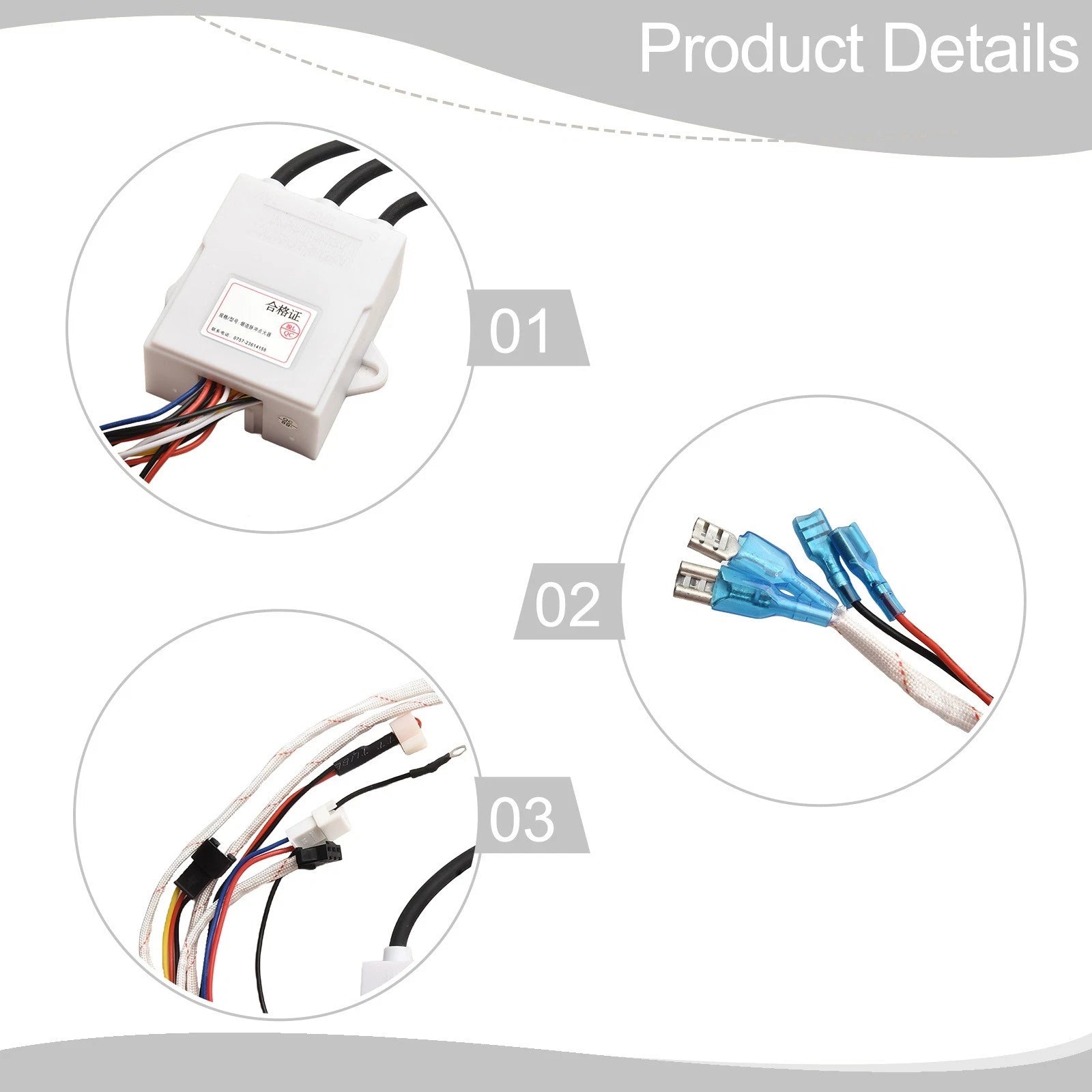Gas Water Heater with Dual Ignition for
