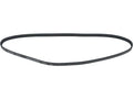 Multi Rib Belt for Jaguar XJ12 6.0L V12 (1995–1996) YC639DB