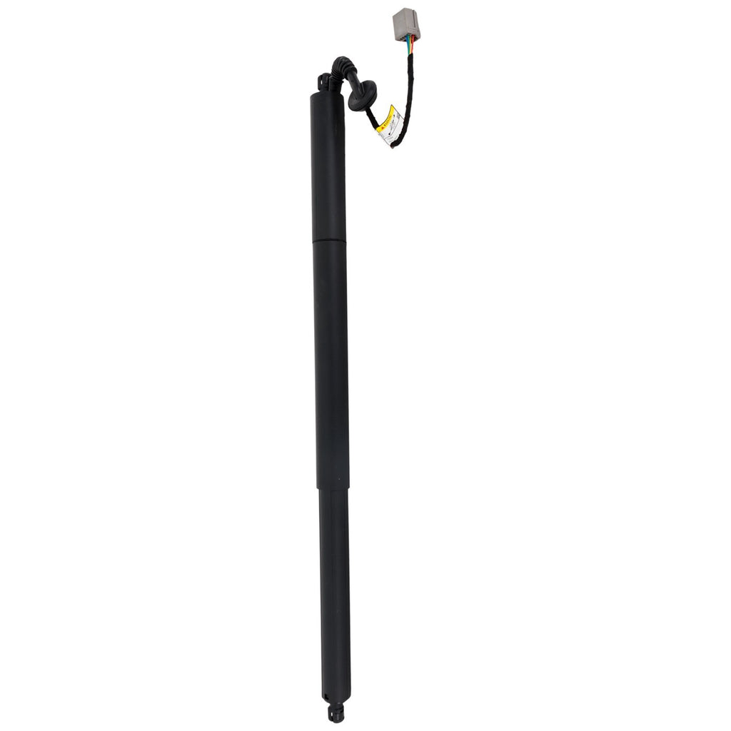 Liftgate Lift Supports for Ford Escape (2013–2019)