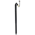 Liftgate Lift Supports for Ford Escape (2013–2019)