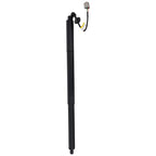 Liftgate Lift Supports for Ford Escape (2013–2019)