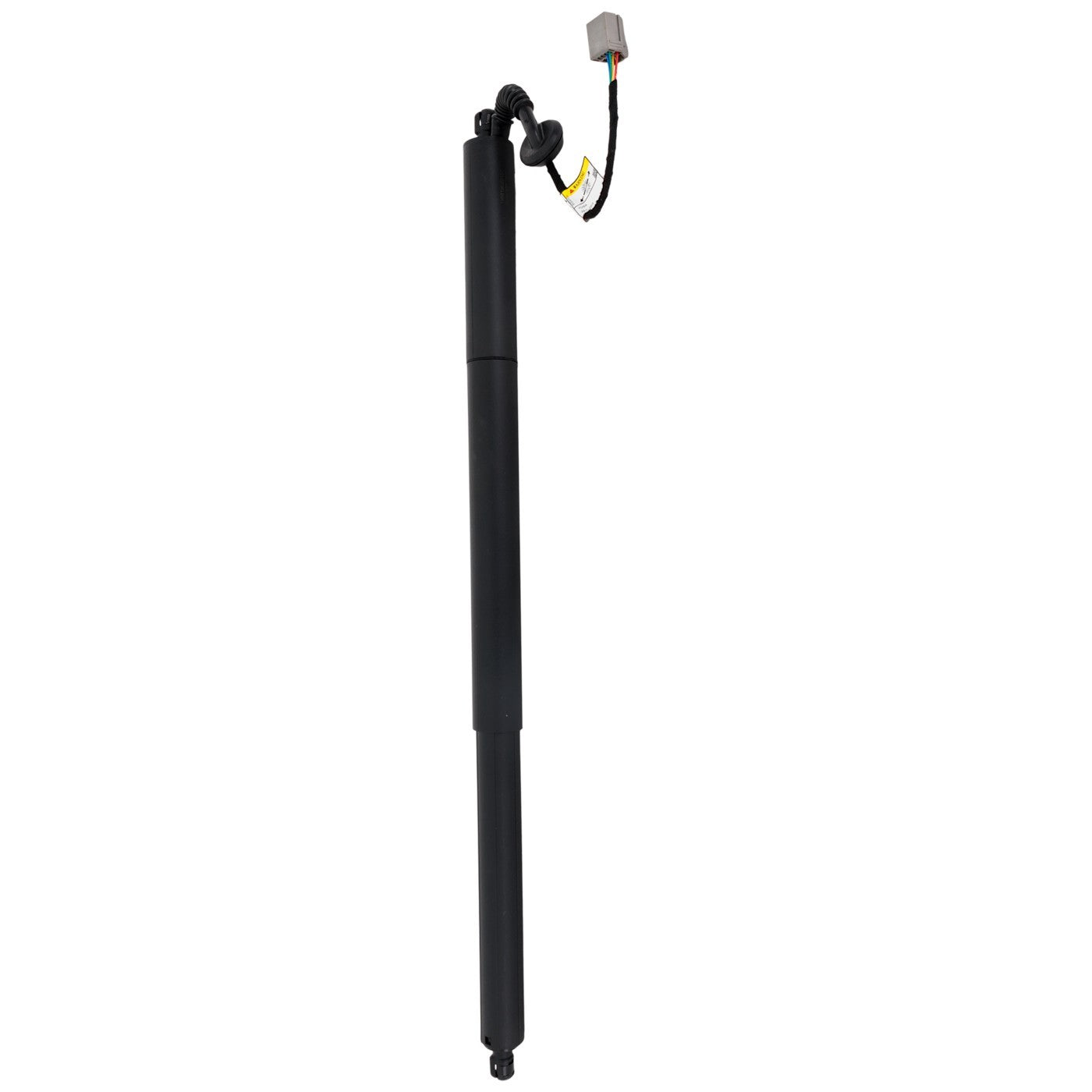 Liftgate Lift Supports for Ford Escape (2013–2019)