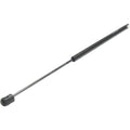 Liftgate Glass Lift Supports for Chevy Olds