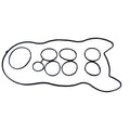 VRS Engine Head + Manifold Top Gasket Set for Holden Commodore (95–98)