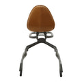 Passenger Backrest Sissy Bar Luggage Rack for Indian Scout Sixty (2015–2024)