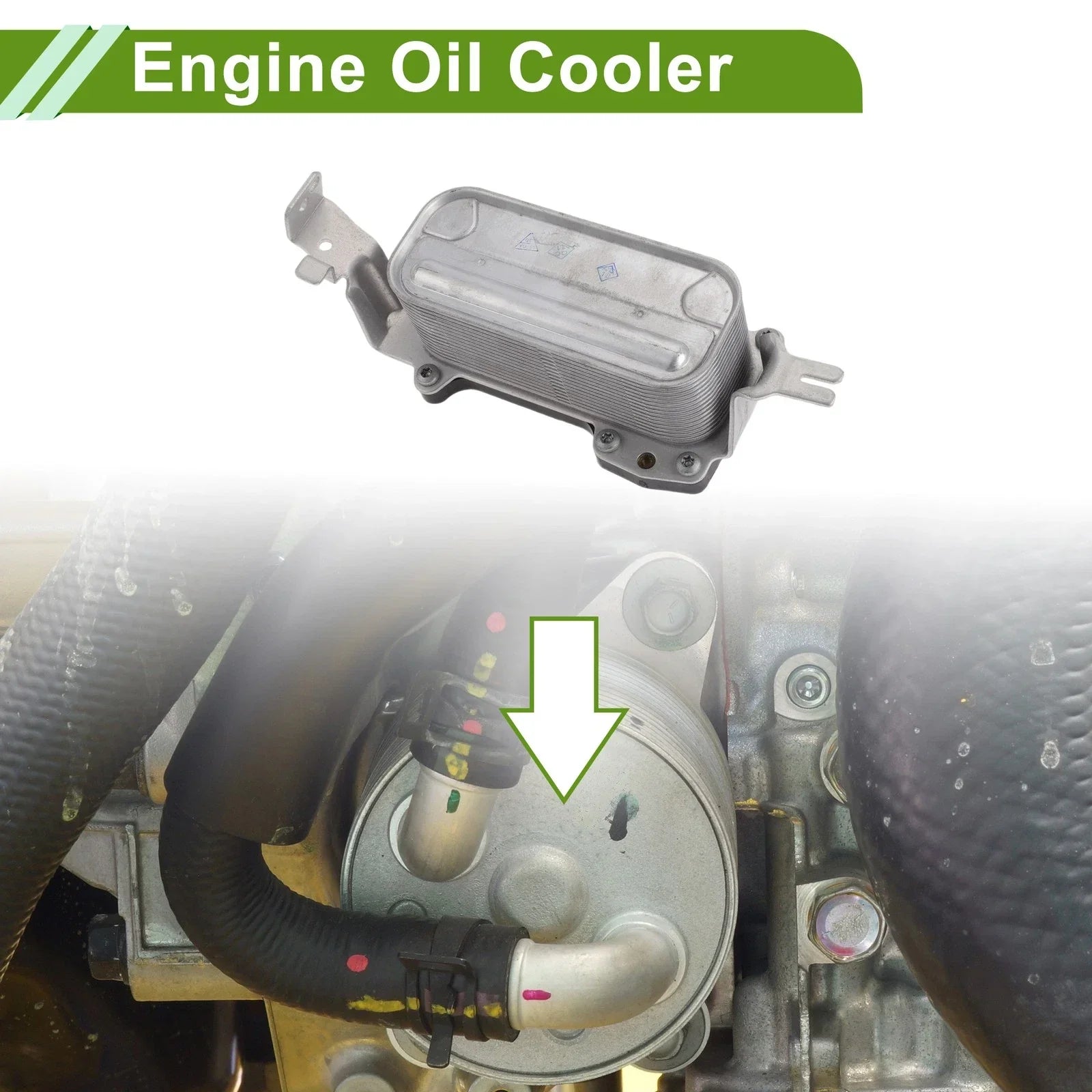 Engine Oil Cooler for BMW 550i (2009-2016)