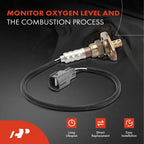 Upstream/Downstream O2 Oxygen Sensor for Toyota Tacoma & Tundra (1995-2000)