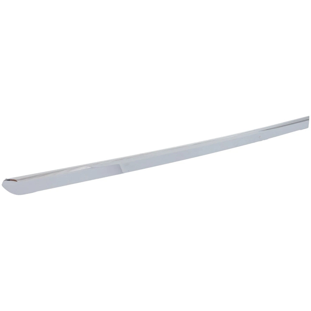 Rear Passenger Door Molding for Buick (Right Side)