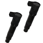 2X Ignition Coil for Kawasaki Versys KLE650 (2007–2014), Z1000 EU (2009), ER-6N (2006)