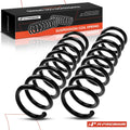2X Front Side Coil Springs for Mercedes-Benz E320 E430 (1998–2002)