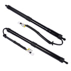 Pair Rear Tailgate Lift Support Strut for Lexus RX350 RX350L RX450hL (2018–2023)