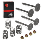 Intake Valve Set for EZGO 4 Cycle Gas Golf Cart 350cc EH35C (2003–2008)