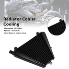Radiator Cooler for Ducati Panigale V2 (2020–2024), Streetfighter V2 (2022–2024)