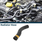 Radiator Hose for Lexus LS460 2007-2012 (2 x) Upper Pipe