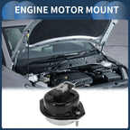 Engine Mount 3.6L A/MT for BMW 7 Series E66 (2000-2008)
