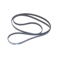 Serpentine Belt for Sierra (2018–2023) Replaces 57-865615Q03