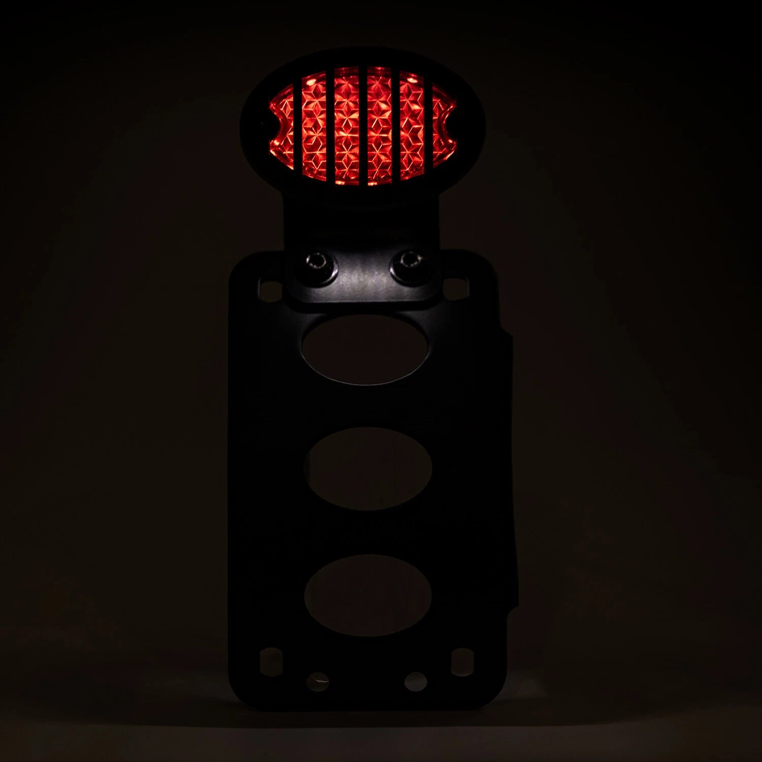 Tail Light Side Mount License Plate Bracket for Harley Honda Kawasaki