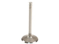 Intake Valve for Jaguar XJ6 (1972–1978) SY288SP