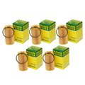 Set of 5 Cartridge Engine Oil Filters for Audi VW Seat L4 L5