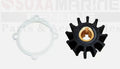 Impeller Repair Kit for Oberdorfer B 6620 Pumps (18-3075, 301, 302, 303, 8647)