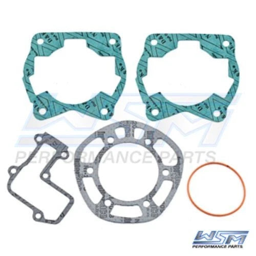 Gasket Kit for WSM