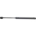 Lift Support for Buick LaCrosse (2005–2009) Driver & Passenger Side