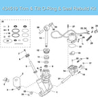 Trim & Tilt O-Ring & Seal Rebuild Kit for Johnson Evinrude OMC (Fits 434519)