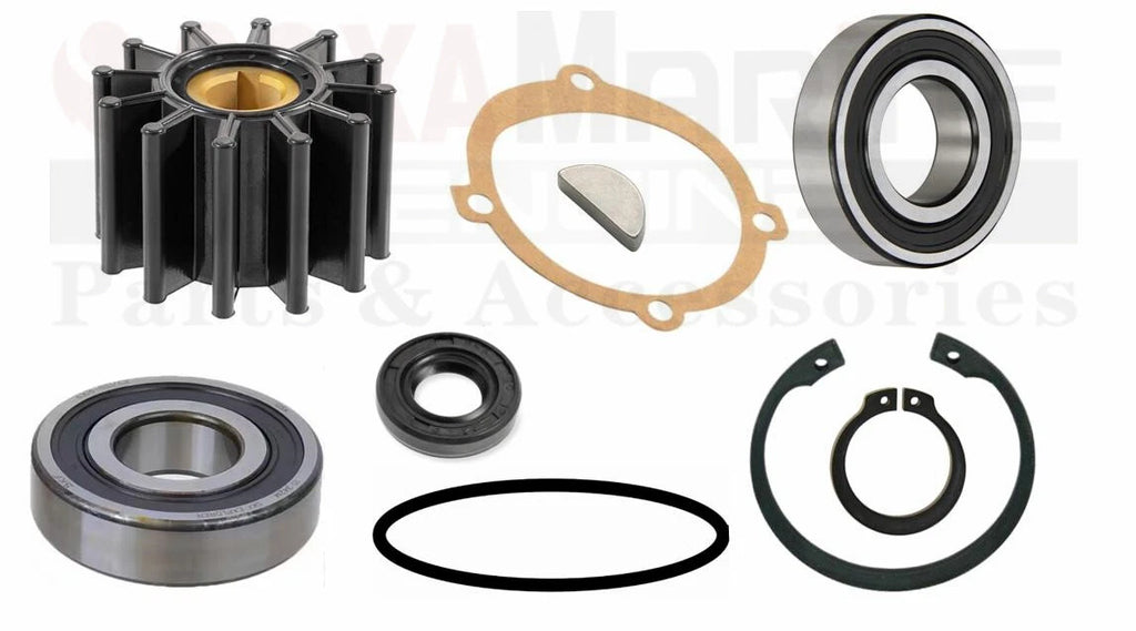 Repair Kit for Sherwood Pump P1014 P1015 (5.7L GM V8)