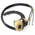 CDI Stator for Mercury 6/8/9.9/10/15/18/20/25/35/40 HP (2Cyl) (174-6617K1)