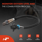 2X O2 Oxygen Sensors for Chevy Trailblazer (2002-2009)