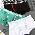 Men's Briefs Underwear Bulge Pouch Boxer Shorts (2023)