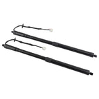 2 Rear Trunk Lift Support Struts for Nissan Rogue (2014–2019) 905614BA4A