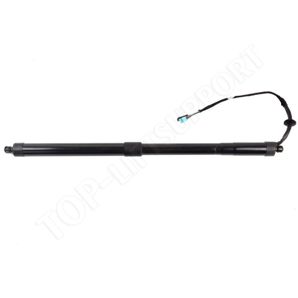2X Liftgate Power Lift Supports for Porsche Panamera (2010–2013)